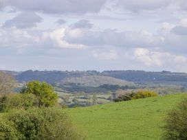 Green fields with trees in the countryside under a cloudy sky at Twilight in Raglan