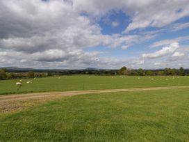 A grassy field with sheep and a dirt path under a cloudy sky at Twilight in Raglan