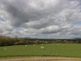 A green field with sheep grazing under a cloudy sky at Twilight in Raglan