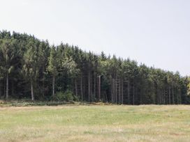 A field with trees and a telephone pole at Twilight in Raglan