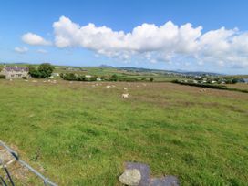 An outdoor field with sheep and a house at Brynffynon in Pwllheli