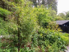 Bluebell - Cornwall - 1175414 - thumbnail photo 20