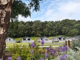 A view of cabins and a tree at The Pines 2 Bedrooms in Delamere