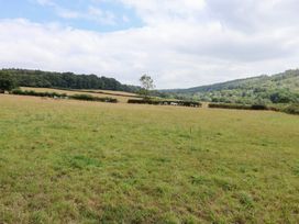 A meadow with cows in the distance and hills under a cloudy sky at Harcombe House Bungalow 25, Chudleigh