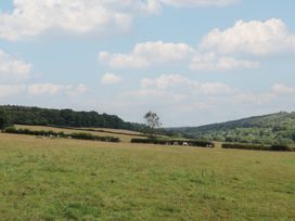 A field with cows and a tree at Harcombe House Bungalow 25 in Chudleigh