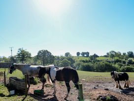 The Greatest Showman - Peak District & Derbyshire - 1175530 - thumbnail photo 25