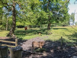 The Greatest Showman - Peak District & Derbyshire - 1175530 - thumbnail photo 26