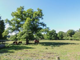 The Greatest Showman - Peak District & Derbyshire - 1175530 - thumbnail photo 27