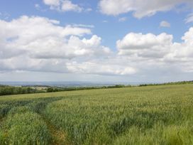A field with crops and blue sky at Stumps Cross Lodge Upper Coscombe near Winchcombe