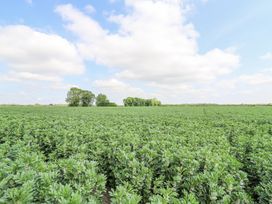 A green field with rows of plants and clusters of trees on the horizon at Woodpecker in Lode near Bottisham