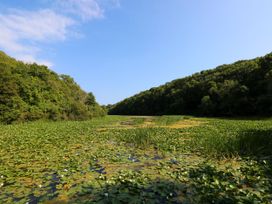 A water body covered with lily pads and surrounded by trees under a blue sky at Florence Pod in Pembroke
