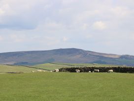 Green fields with sheep and stone fences with hills in the background at Kingfisher Lodge in Gargrave