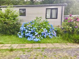 An outdoor area with hydrangeas near a building at 38 The Green