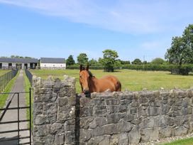 A horse near a stone wall with a barn and grassy field at The East Wing Apartment Claremorris