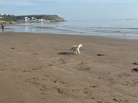 A dog walking on the beach at Lawnswood in Brompton-by-Sawdon near Sherburn
