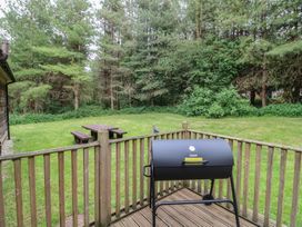 A wooden deck with a grill and a wooden picnic table on a grass lawn surrounded by trees at Sycamore Lodge in Rosliston