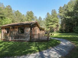 A wooden cabin with a fenced deck surrounded by trees and grass with a gravel pathway at Sycamore Lodge in Rosliston