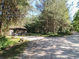 A wooden lodge surrounded by trees beside a gravel road at Sycamore Lodge in Rosliston