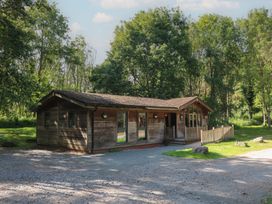 A wooden lodge surrounded by trees with a gravel driveway at Cedar Lodge in Rosliston