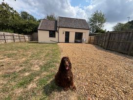 A house with a dog in a gravel yard at The Studio Marsham near Aylsham