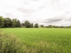 The Garden Hut - North Wales - 1176226 - thumbnail photo 36