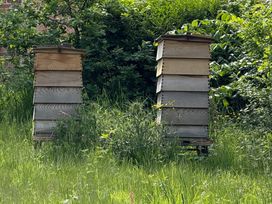 The Garden Hut - North Wales - 1176226 - thumbnail photo 29