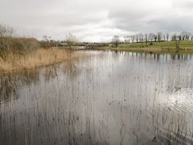 A body of water with reeds and trees at Huath in Carrick on Shannon