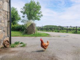 A chicken walking on a road near a stone wall at The Cottage in St. Ives