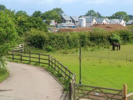 A grassy area with a horse and a pathway at Swallows Nest in St. Ives