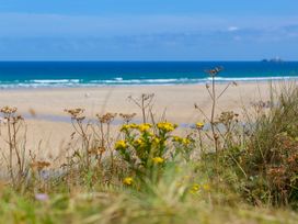 A beach view with flowers in the foreground at Swallows Nest in St. Ives
