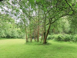 A view of trees and grass at Bracken Ground in Coniston
