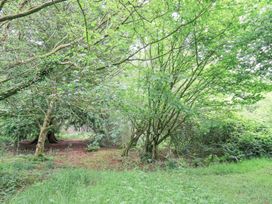 A clearing with trees and grass at Bracken Ground in Coniston
