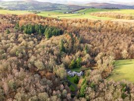 An aerial view of trees and a house surrounded by fields at Bracken Ground in Coniston