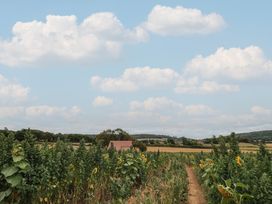 A field with sunflowers and a path leading to a house at Foxes Den Pendomer near Yeovil, Somerset