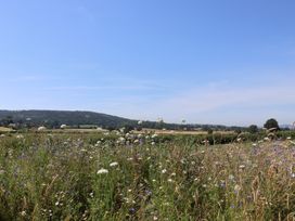 A landscape with wildflowers and hills at The Fox Den in East Coker