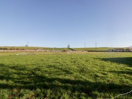 A field with sheep and a stone wall at Rocklands in Shap