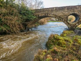 A bridge over a river surrounded by trees at Hafan Y Gof Newcastle Emlyn