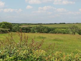 A view of fields and trees at Trevean in Bude