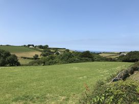 A field with trees and houses at Trevean in Crackington Haven