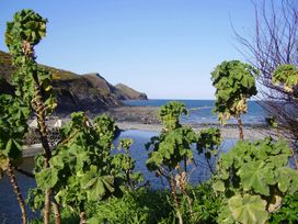 A coastal view with plants and water at Trevean in Crackington Haven