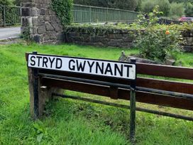 A signpost for Stryd Gwynant near a road in a grassy area
