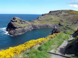 A coastal view with rock formations and vegetation at Tremorla in Boscastle