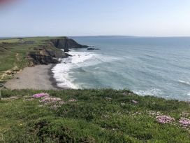 A coastal view showing cliffs and flowers at Tremorla in Boscastle