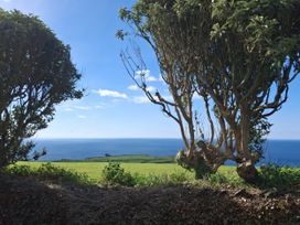 A view of the sea with trees and grass at Tremorla in Boscastle