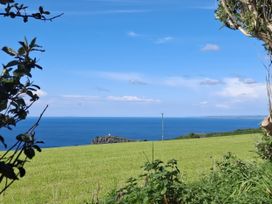 A view of the ocean and cliff from a field at Tremorla in Boscastle