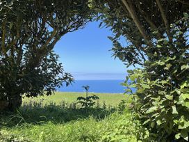 A view framed by greenery overlooking the ocean at Tremorla in Boscastle