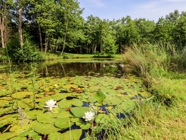 A pond with lily pads and water lilies surrounded by grass and trees at Shepherds Hut 1