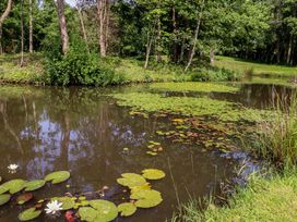 A pond with lily pads and trees at Shepherds Hut 2