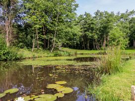 A pond with lilypads and trees at Shepherds Hut 2