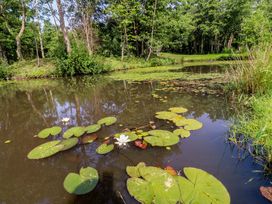 A pond with lilypads and trees at Shepherds Hut 2 
